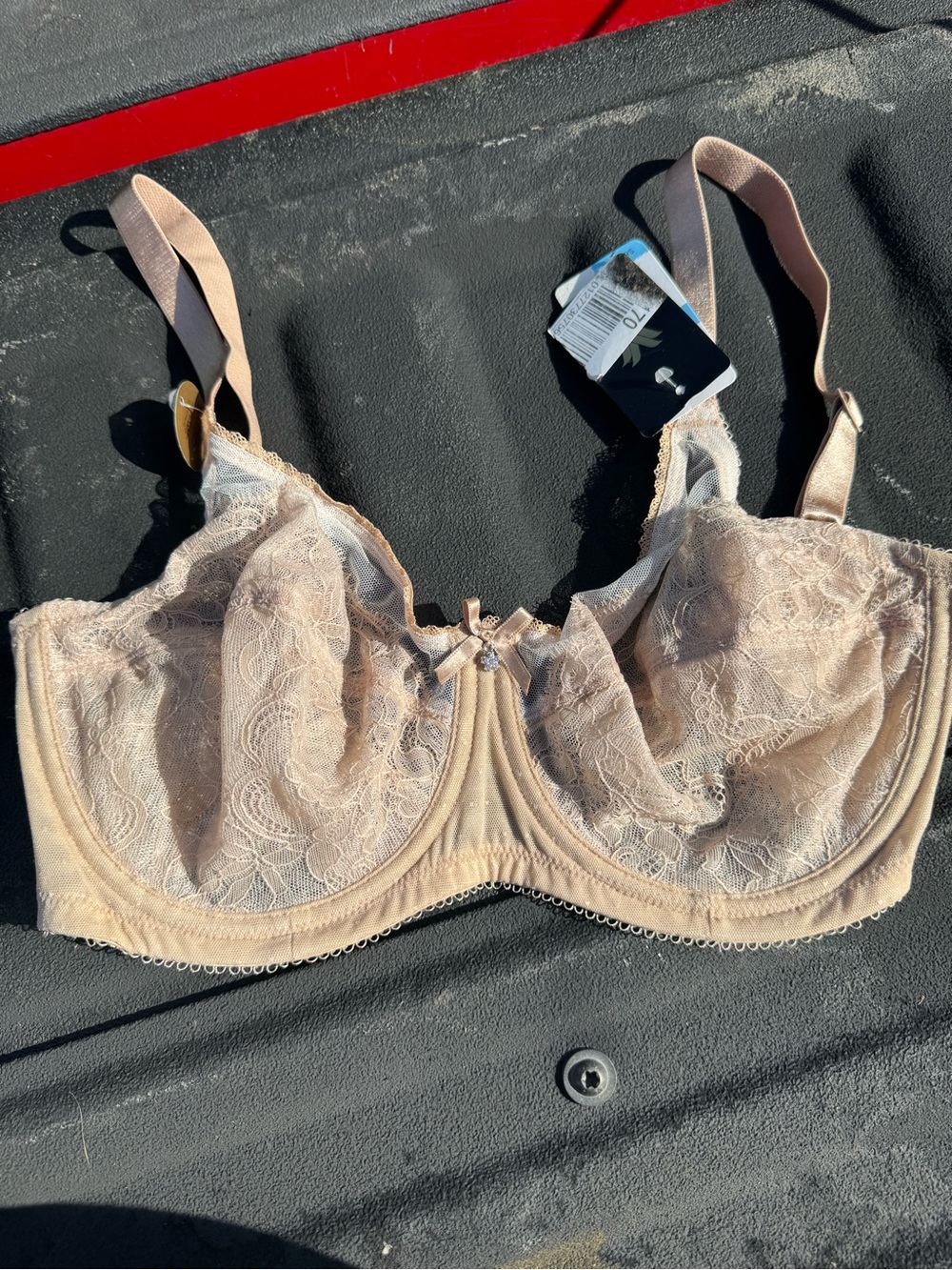 Wacoal Lace Underwire Bra in Nude